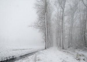 Sneeuwlandschap tijdens een sneeuwbui - de Scheeken van Wicher Bos