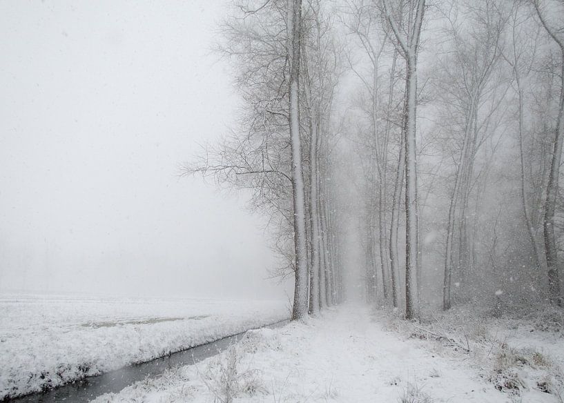 Sneeuwlandschap tijdens een sneeuwbui - de Scheeken von Wicher Bos