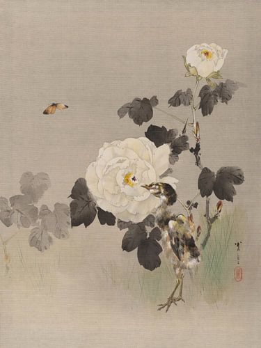 Watanabe Seitei - Roses, young bird and butterfly (1887)