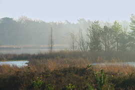 Fog over the Ven by Vague & Form