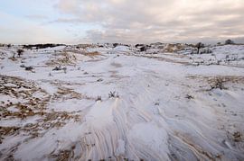 Amsterdam Water Supply Dunes by martin slagveld