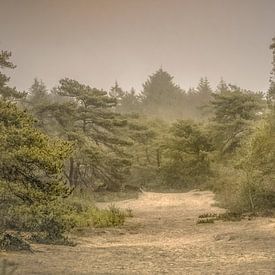 Herfstdag in bos van Teo Goudriaan