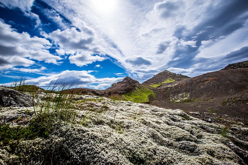 IJsland von Michiel van Druten