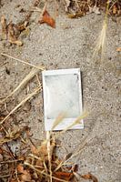 Polaroid picture in the sand (what was on the picture?)