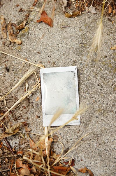 Polaroid picture in the sand (what was on the picture?) by Marion Hesseling