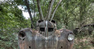 Trees and cars