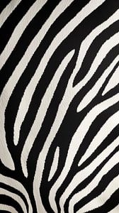 Nahaufnahme der Haut eines Zebras