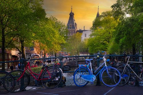 A summer day along Amsterdam's canals, infused with warmth and charm.