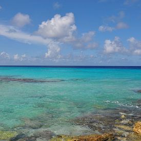 De ontelbare blauwtinten van de kust van Bonaire van Myrthe Visser-Wind
