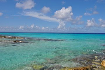 De ontelbare blauwtinten van de kust van Bonaire van Myrthe Visser-Wind