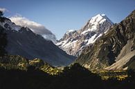 Mount Cook, Neuseeland von Floris Heuer Miniaturansicht