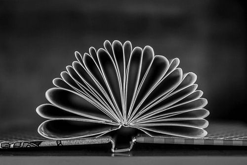 A book - folding art
