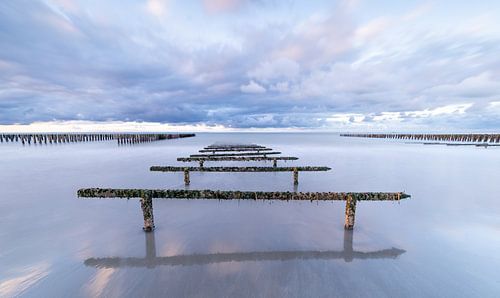 Mosselbanken in de Opaalkust, Normandië, Frankrijk