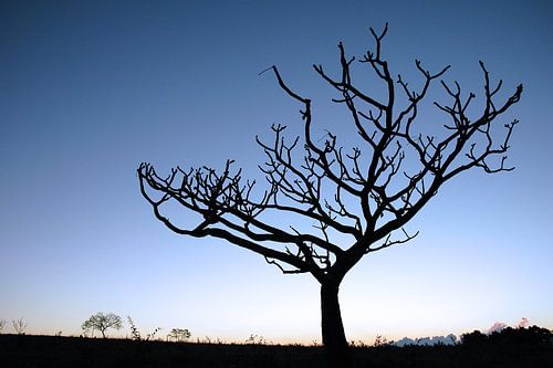 Sunset Landscape no. 7