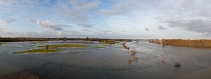 Panorama des Flusses IJssel am Ende des Winters von Ralph Jongejan