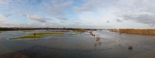 panorama of the river IJssel at the end of winter