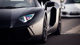 Angry bull is watching you van Ansho Bijlmakers