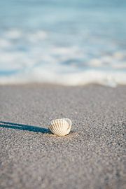 Ostsee Strand Insel Rügen von Mirko Boy