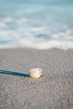 Ostsee Strand Insel Rügen