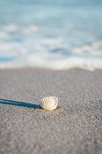 Baltic Sea Beach Island Rügen