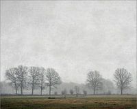 All is quiet