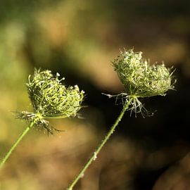 Together Forever  von Sandra Akkerman