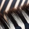 Close-up van zebra strepen en manen van Melissa Peltenburg
