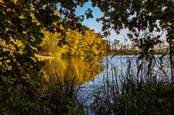 Vennetje in Nationaal Park de Meinweg van Julian Buijzen thumbnail