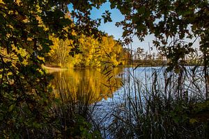 Vennetje in Nationaal Park de Meinweg van Julian Buijzen