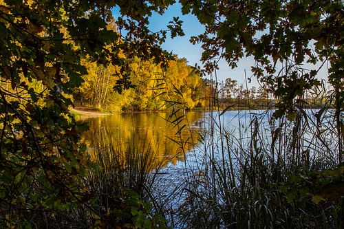Vennetje in Nationaal Park de Meinweg