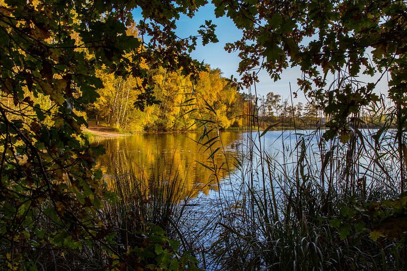 Vennetje in Nationaal Park de Meinweg van Julian Buijzen