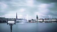 Uitzicht op de Inner Alster vanaf de Lombardbrug van ahafineartimages thumbnail
