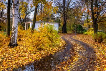 autumn path at Chemnitz castle pond by Daniela Beyer