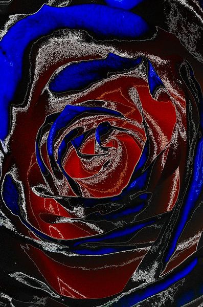Rose in Rot & BLue von De Rover