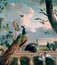 Paleis van Amsterdam met exotische vogels, Melchior d'Hondecoeter van Bridgeman Masters thumbnail