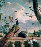 Paleis van Amsterdam met exotische vogels, Melchior d'Hondecoeter