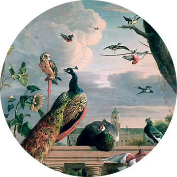 Paleis van Amsterdam met exotische vogels, Melchior d'Hondecoeter