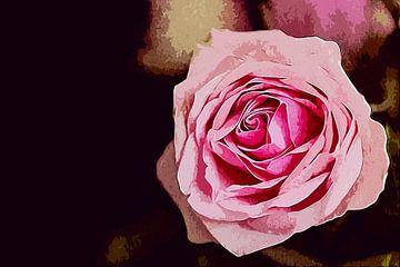 Pink rose van Art by Jeronimo