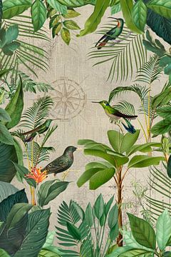 Reis naar het paradijs van de vogels van Andrea Haase