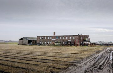 Lisse Glühlampenfabrik Ruigrok von martin slagveld