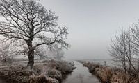 Waterway to the light