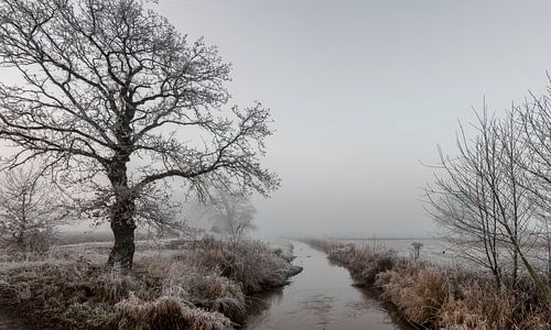 Une voie navigable vers la lumière