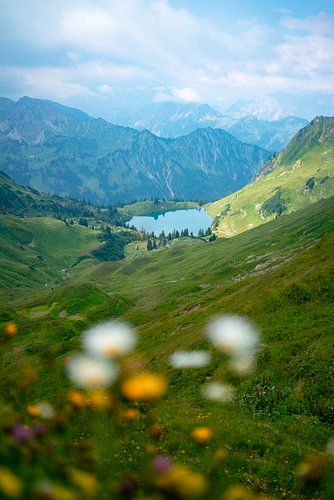 Bloemrijk uitzicht op de Seealpsee in de Allgäuer Alpen