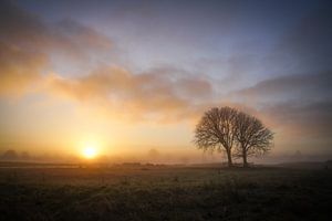 Lentevreugd Wassenaar op een mooie ochtend van Dirk van Egmond