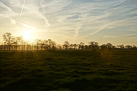 Wintersonne
