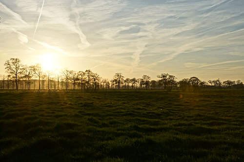 Wintersonne