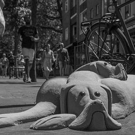 Sand dogs by Waldo Kranenburg
