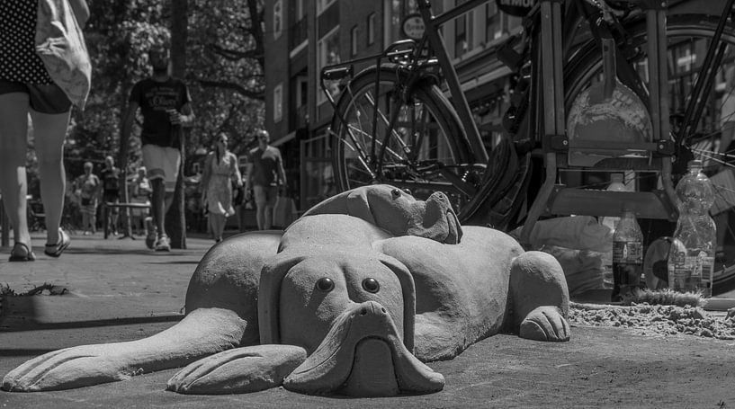Sand dogs by Waldo Kranenburg