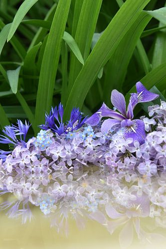 A bouquet of flowers in the garden