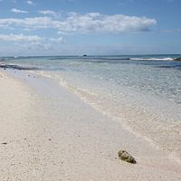 Isla Saona zandstrand